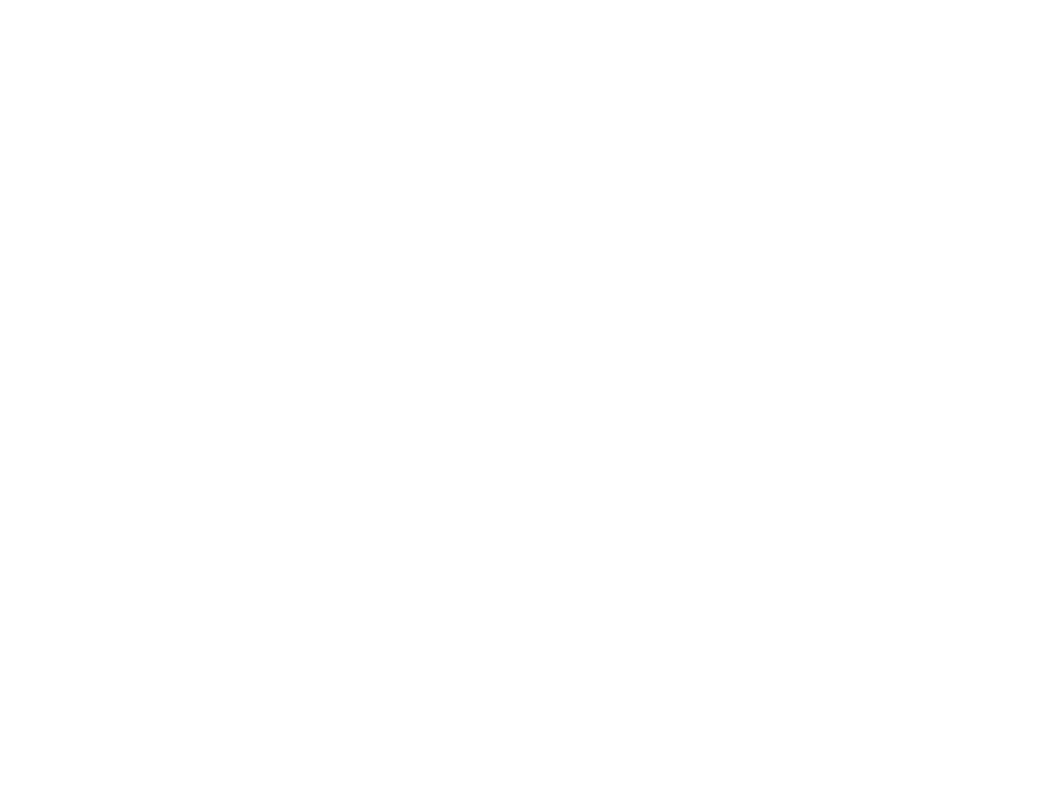 Zehelein Consulting Logo